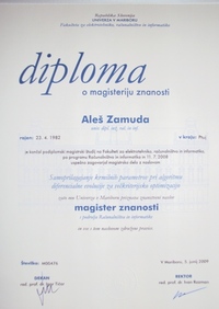 2008 FERI diploma MSc DEMOwSA 